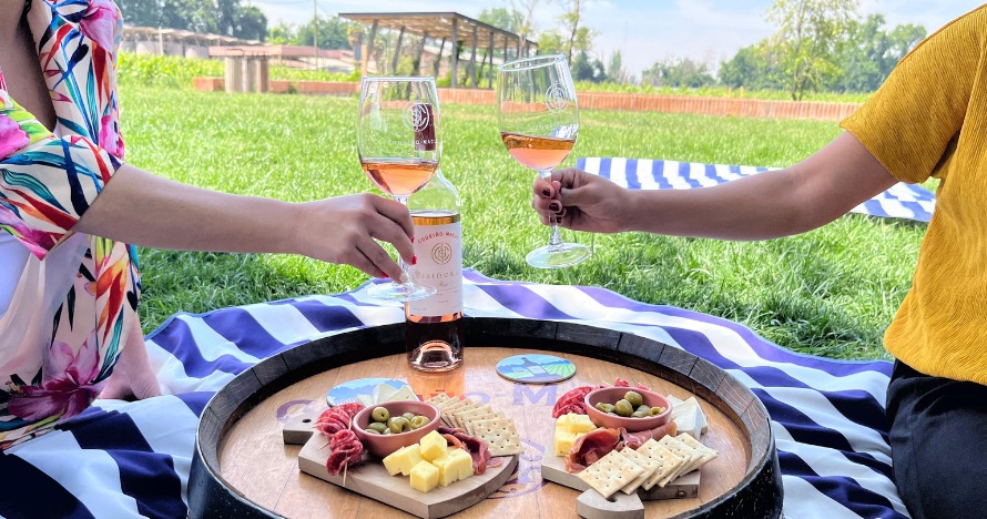 VIÑEDOS EN FLOR: ENOTURISMO EN SANTIAGO