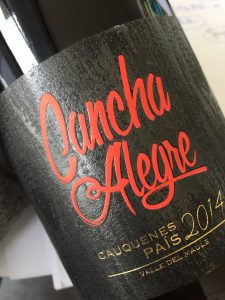 canchaalegre_fiestapais