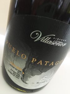 villasenor_puelopinot