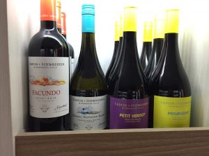 garcia_schwaderer_familia