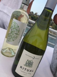 sauvignonblanc_bythesea2017-veramonte