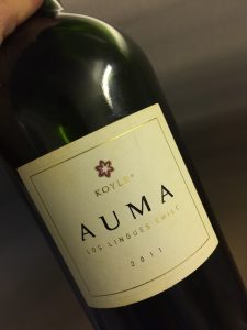koyle-auma2011
