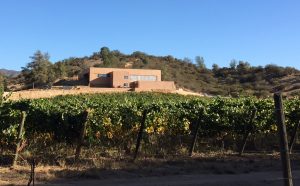 villard_bodegatapihue