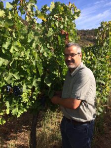 gonzaloperez_cremaschifurlotti