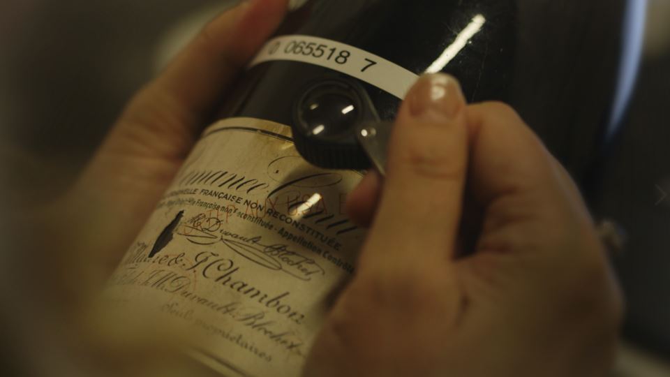 sourgrapesdogwoofdocumentary4