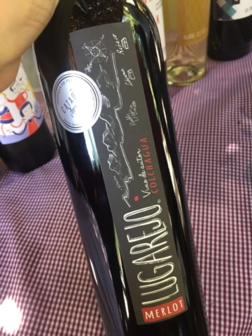 Merlot Lugarejo de Viña Lugarejo.