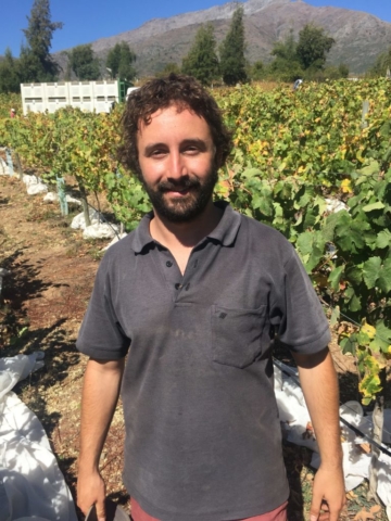 Gianfranco Gamelli