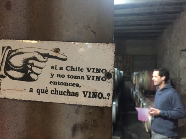 Si a Chile vino...